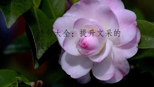 造句大全：提升文采的秘籍