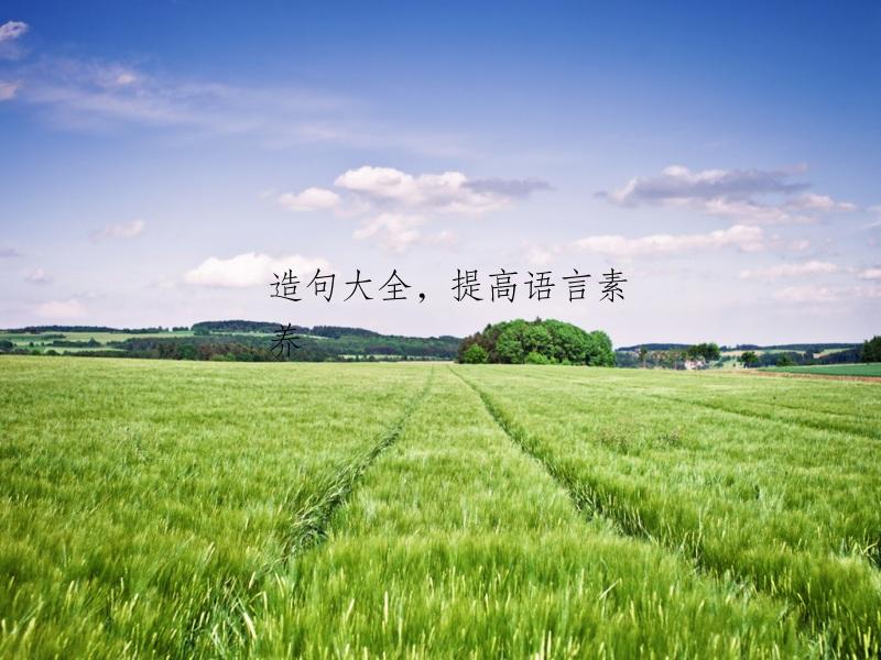 造句大全，提高语言素养