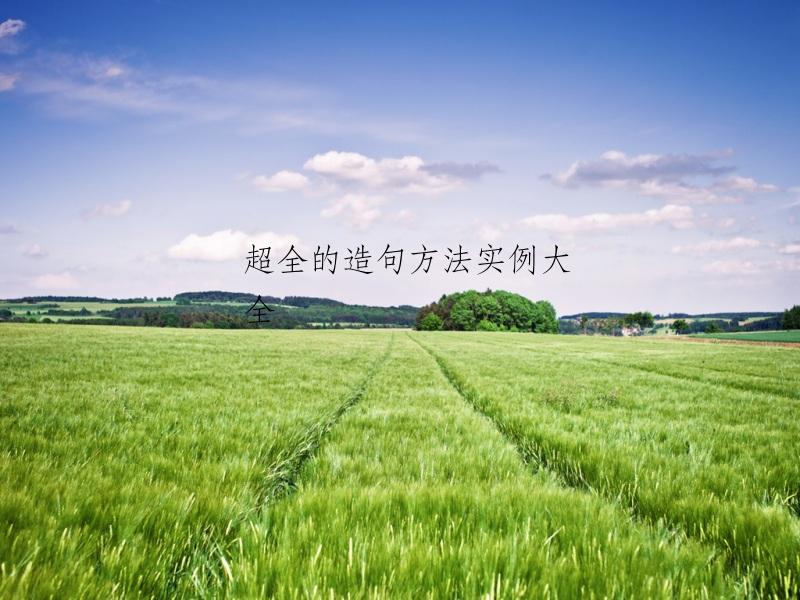超全的造句方法实例大全