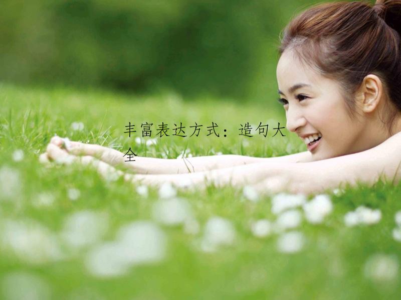 丰富表达方式：造句大全