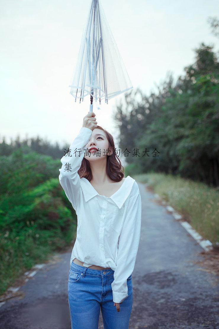 流行高端造句合集大全集