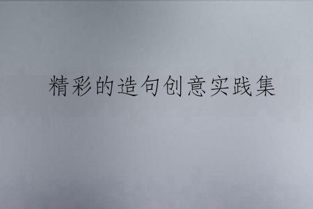 精彩的造句创意实践集