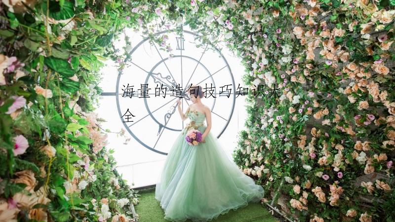 海量的造句技巧知识大全
