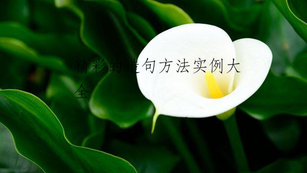 精彩的造句方法实例大全