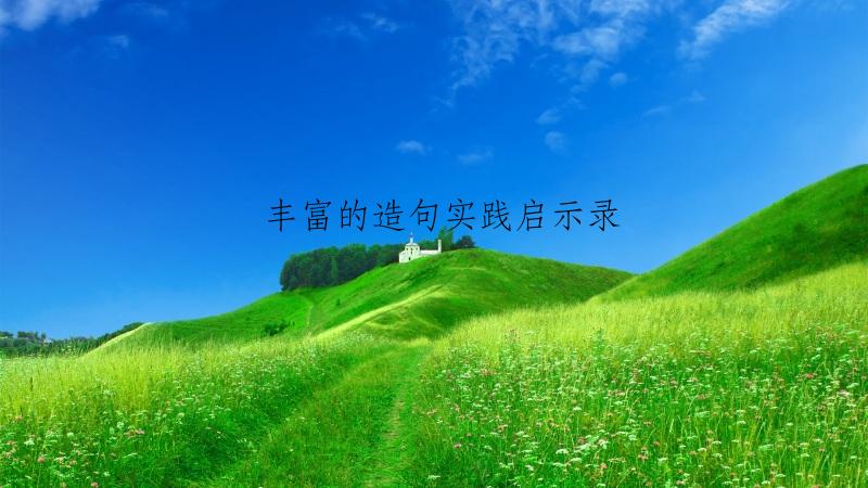 丰富的造句实践启示录