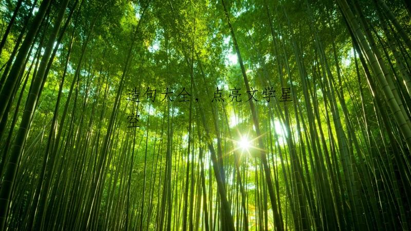 造句大全，点亮文学星空