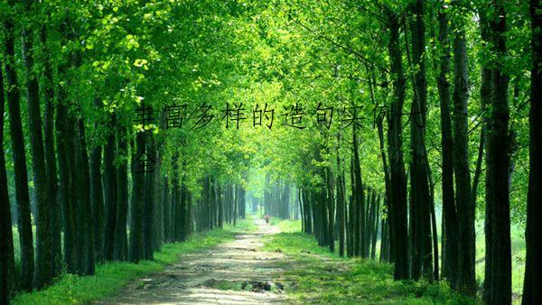 丰富多样的造句实例大全