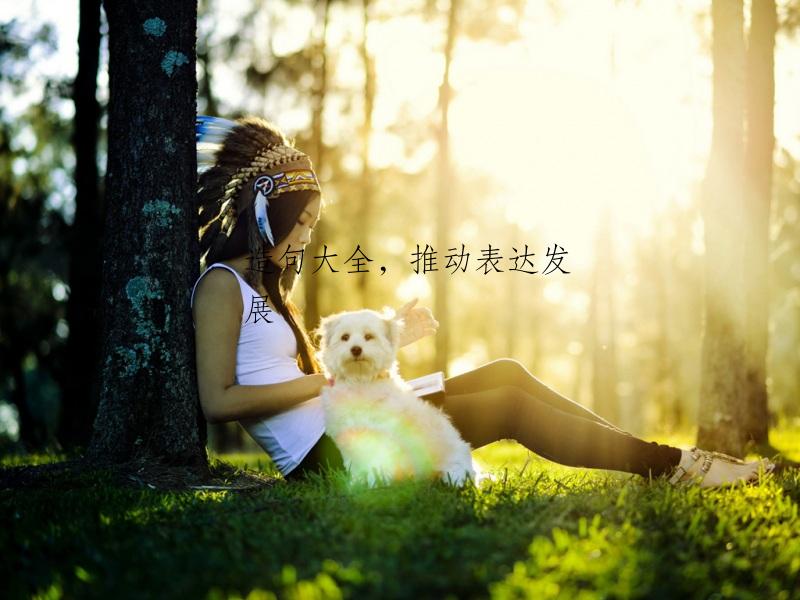 造句大全，推动表达发展