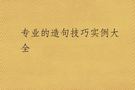 专业的造句技巧实例大全