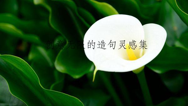 创意无限的造句灵感集