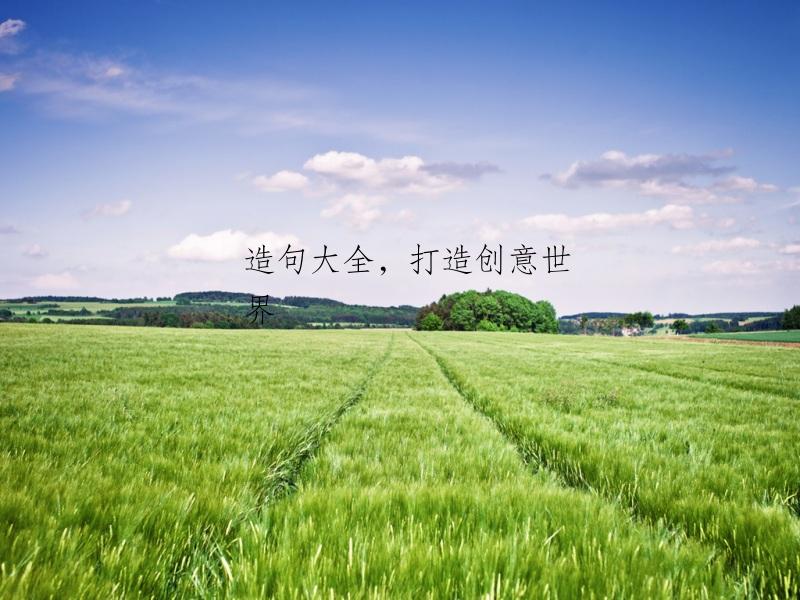 造句大全，打造创意世界