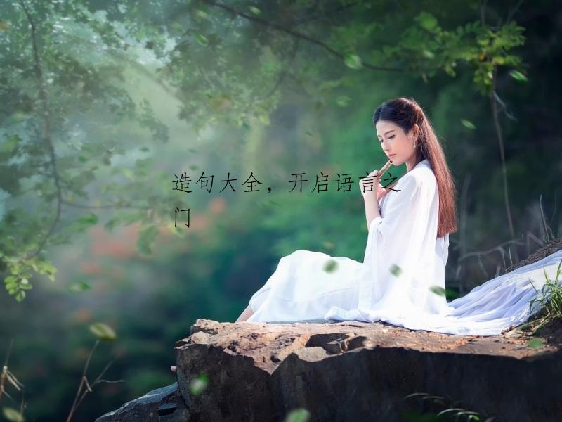 造句大全，开启语言之门