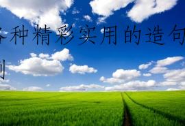 各种精彩实用的造句示例