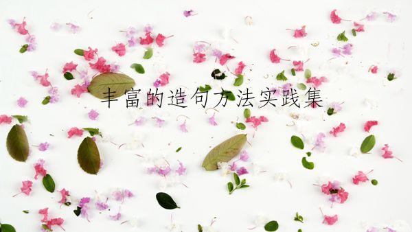 丰富的造句方法实践集