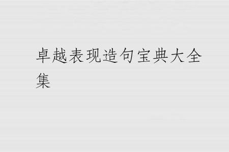 卓越表现造句宝典大全集