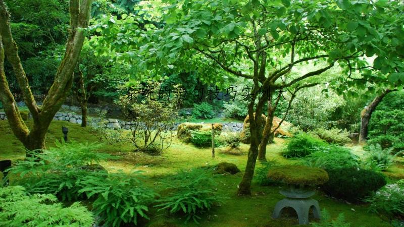 系统的造句技巧实例大全