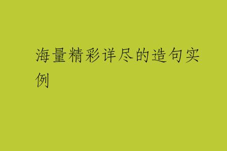 海量精彩详尽的造句实例