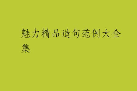 魅力精品造句范例大全集