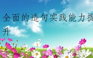 全面的造句实践能力提升