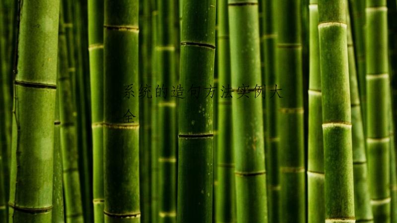 系统的造句方法实例大全