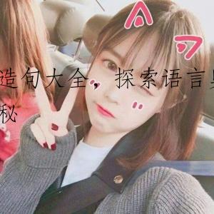 造句大全，探索语言奥秘