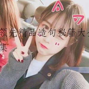 领先精品造句秘籍大全集