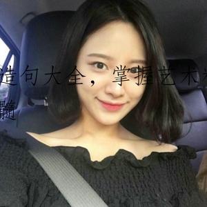 造句大全，掌握艺术精髓