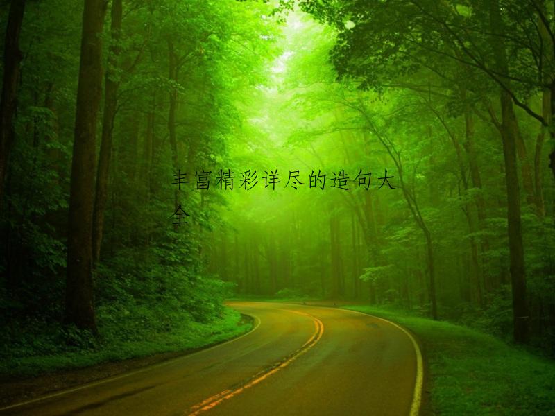 丰富精彩详尽的造句大全