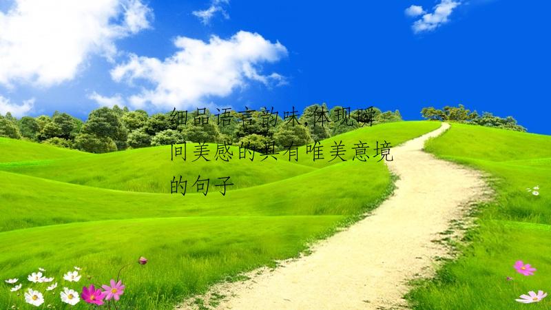 细品语言韵味,体现瞬间美感的具有唯美意境的句子