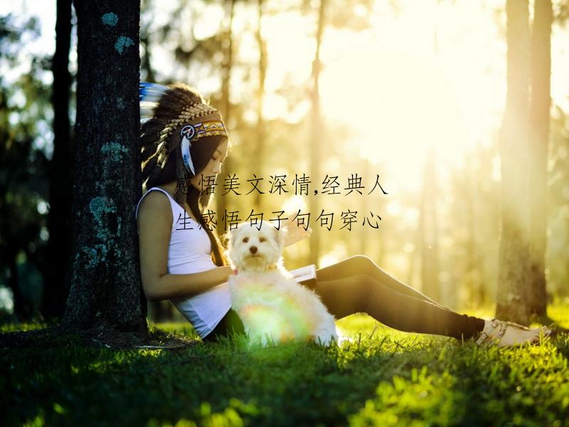 感悟美文深情,经典人生感悟句子句句穿心