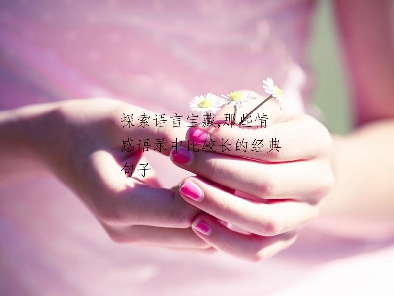 探索语言宝藏,那些情感语录中比较长的经典句子