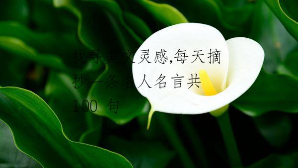 找寻美文灵感,每天摘抄一条名人名言共 100 句