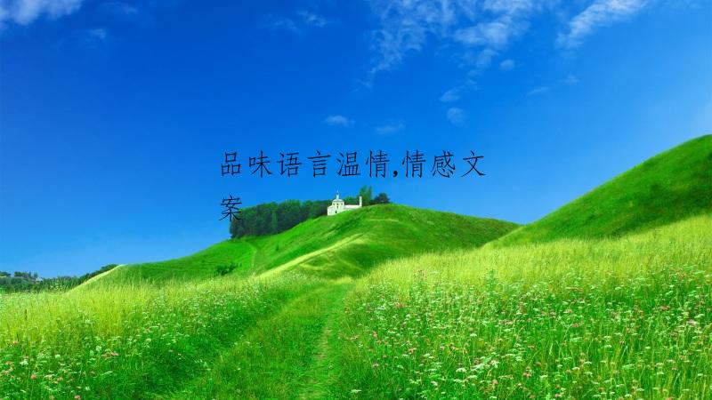 品味语言温情,情感文案