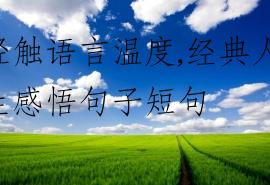 轻触语言温度,经典人生感悟句子短句
