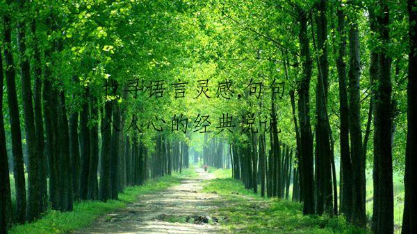找寻语言灵感,句句深入人心的经典说说