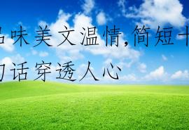 品味美文温情,简短十句话穿透人心