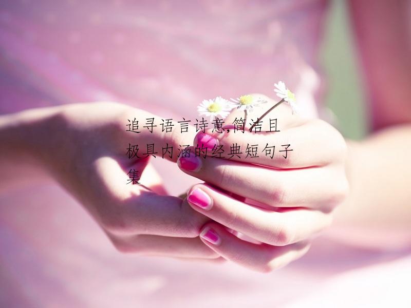 追寻语言诗意,简洁且极具内涵的经典短句子集