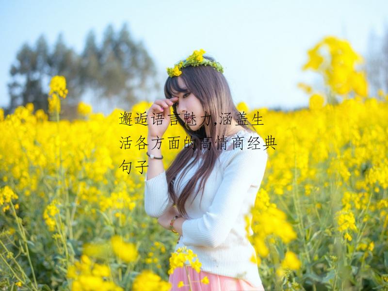 邂逅语言魅力,涵盖生活各方面的高情商经典句子