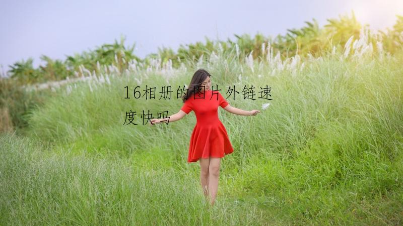 16相册的图片外链速度快吗