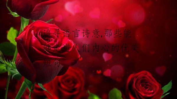 追寻语言诗意,那些能够走进人们内心的优美短句