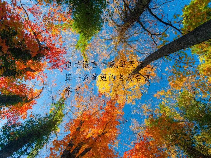 追寻语言诗意,每天选择一条简短的名人名言学习