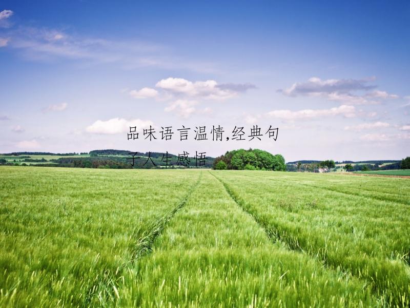 品味语言温情,经典句子人生感悟