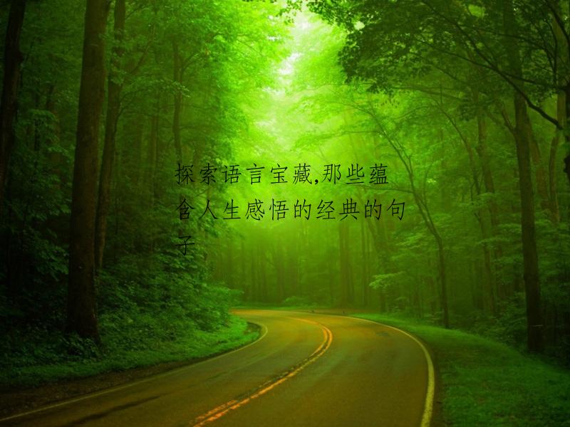 探索语言宝藏,那些蕴含人生感悟的经典的句子