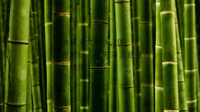 细品美文韵味,100 句激励人心充满正能量的话语