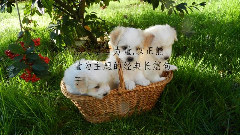 感受语言力量,以正能量为主题的经典长篇句子