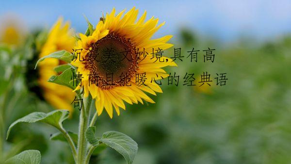 沉浸美文妙境,具有高情商且能暖心的经典语句