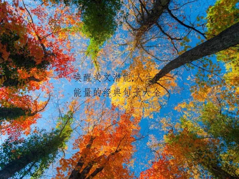 唤醒美文潜能,人生正能量的经典句子大全