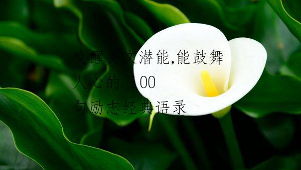 唤醒美文潜能,能鼓舞人心的 100 句励志经典语录