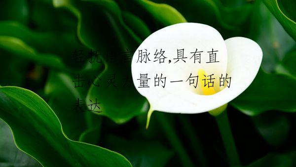 轻抚语言脉络,具有直击心灵力量的一句话的表达