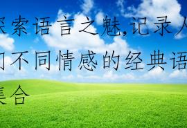 探索语言之魅,记录人们不同情感的经典语录集合